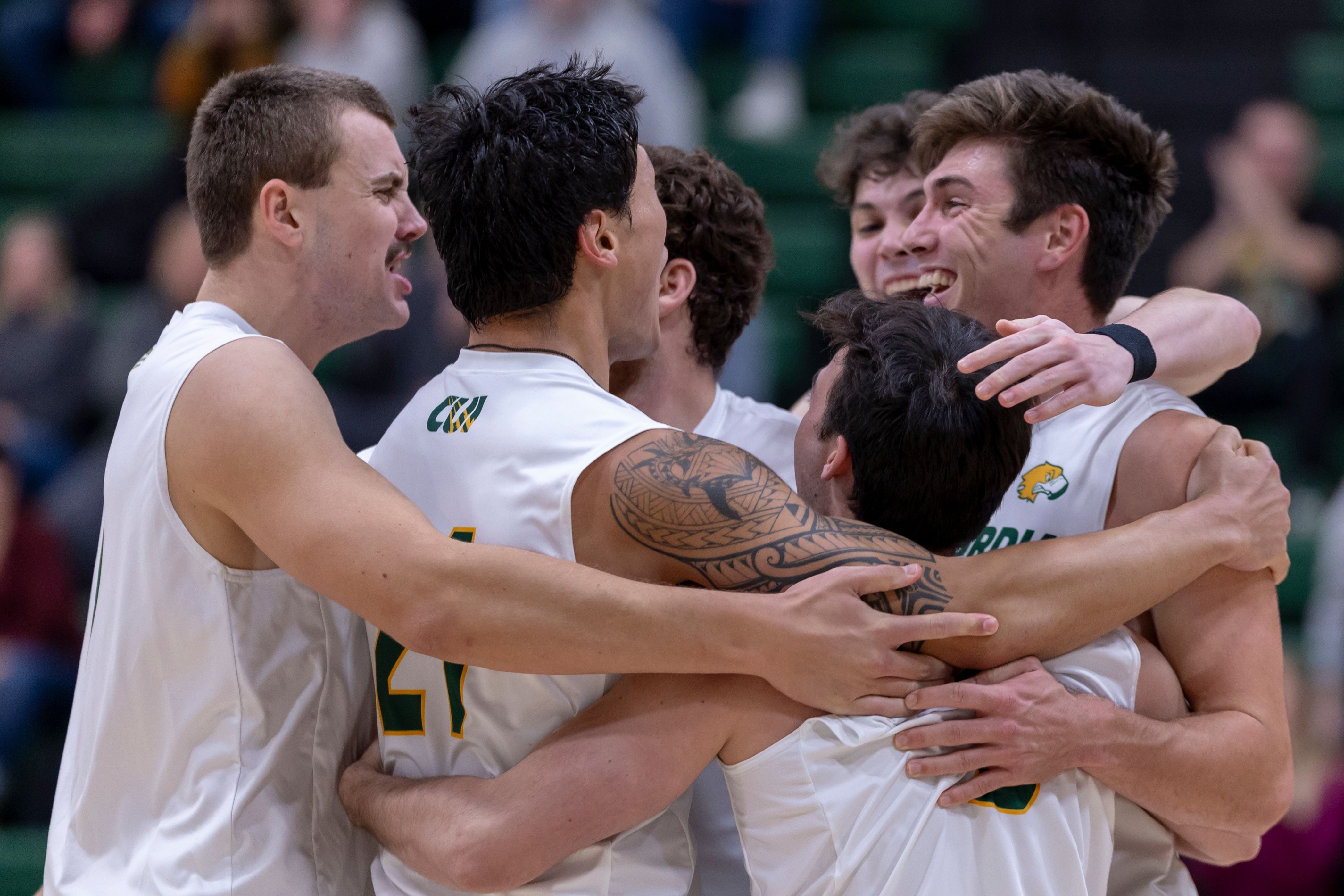 Men's volleyball cheers in huddle